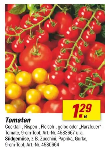 toom Baumarkt Tomaten oder südgemüse Angebot