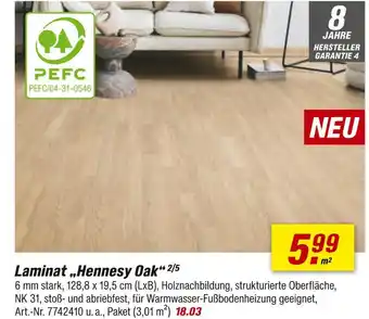 toom Baumarkt Laminat „hennessy oak“ Angebot