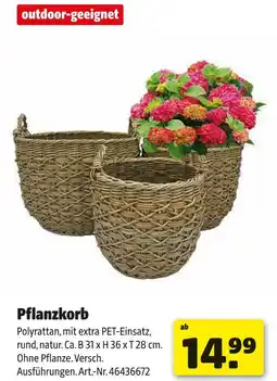 Hagebau Pflanzkorb Angebot