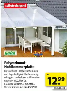 Hagebau Polycarbonat-hohlkammerplatte Angebot