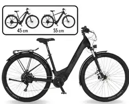 Aldi Süd Fischer Fahrrad All-Terrain-E-Bike Terra 8.0i Angebot