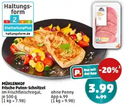 PENNY MÜHLENHOF Frische Puten-Schnitzel Angebot