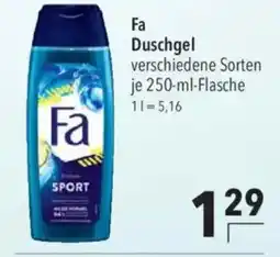 CITTI Markt Fa Duschgel Angebot