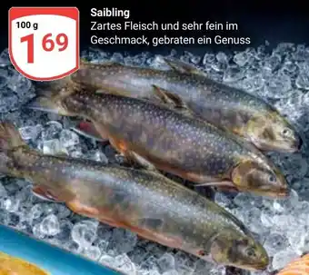 Globus Saibling Angebot