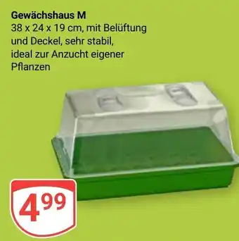 Globus Gewächshaus M Angebot