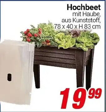 CENTERSHOP Hochbeet Angebot