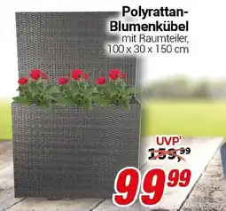 CENTERSHOP Polyrattan- Blumenkübel Angebot