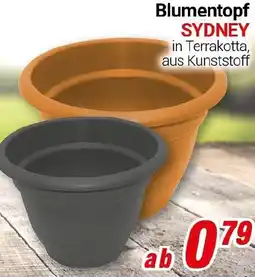 CENTERSHOP Blumentopf SYDNEY Angebot