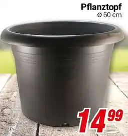 CENTERSHOP Pflanztopf Angebot