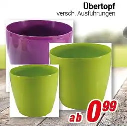 CENTERSHOP Übertopf Angebot