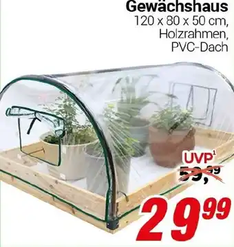 CENTERSHOP Gewächshaus Angebot