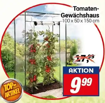 CENTERSHOP Tomaten- Gewächshaus Angebot