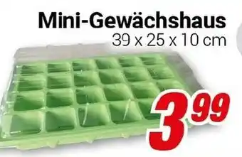 CENTERSHOP Mini-Gewächshaus Angebot