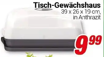 CENTERSHOP Tisch-Gewächshaus Angebot