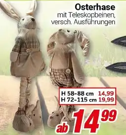 CENTERSHOP Osterhase Angebot