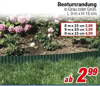 CENTERSHOP Beetumrandung Angebot