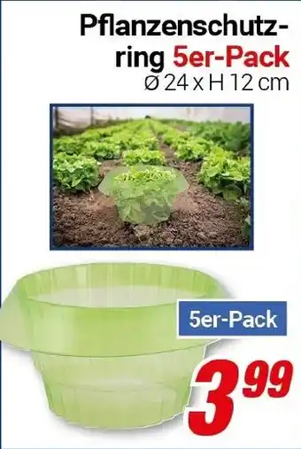 CENTERSHOP Pflanzenschutz- ring 5er-Pack Angebot