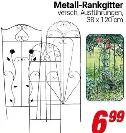 CENTERSHOP Metall-Rankgitter Angebot