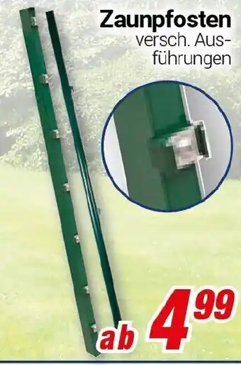 CENTERSHOP Zaunpfosten Angebot