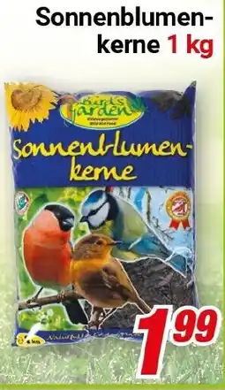 CENTERSHOP Sonnenblumen- kerne Angebot