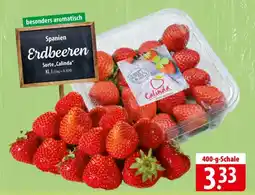 Famila Nord Ost Spanien Erdbeeren Angebot