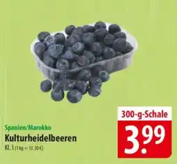 Famila Nord Ost Spanien/Marokko Kulturheidelbeeren Angebot