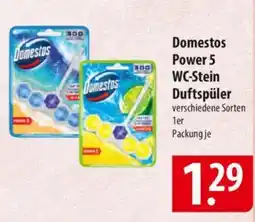 Famila Nord Ost Domestos Power 5 WC-Stein Duftspüler Angebot