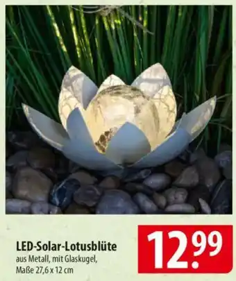 Famila Nord Ost LED-Solar-Lotusblüte Angebot