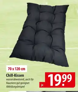 Famila Nord Ost Chill-Kissen Angebot