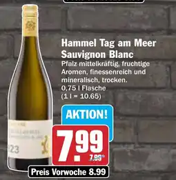 AEZ Hammel Tag am Meer Sauvignon Blanc Angebot