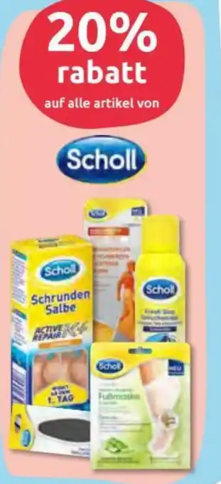 Budni Scholl Angebot