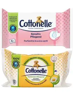 Netto Marken-Discount Cottonelle Feuchte Toilettentücher Sensitiv Pflegend Angebot