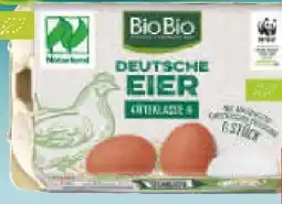 Netto Marken-Discount BioBio Bio-Eier Angebot