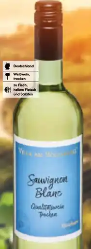 Netto Marken-Discount Villa am Weinberg Sauvignon Blanc Angebot