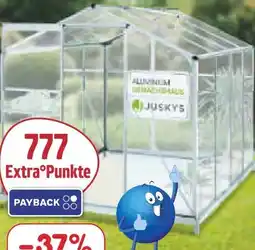 Netto Marken-Discount Juskys Aluminium-Gewächshaus Angebot