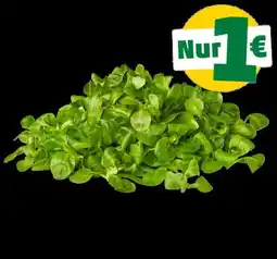 PENNY Marktliebe Feldsalat Angebot