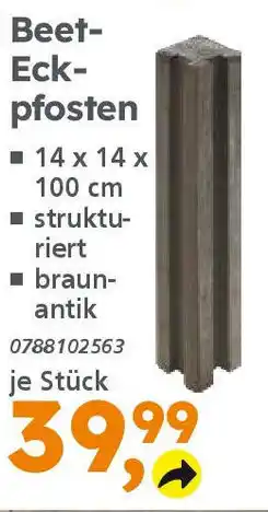 Globus Baumarkt Beet- Eckpfosten Angebot