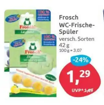 Budni Frosch WC Frische Spüler 42g Angebot