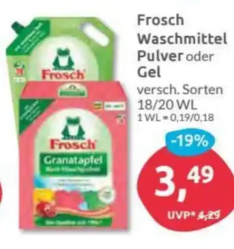 Budni Frosch Waschmittel Pulver oder Gel Angebot