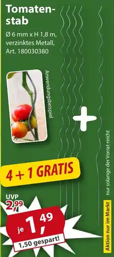 Sonderpreis Baumarkt Tomaten- stab Angebot