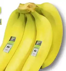 Scheck-in-Center Edeka Bio Bio-Bananen Angebot