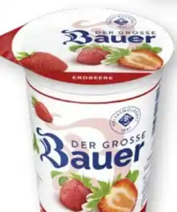 Scheck-in-Center Bauer Der Große Fruchtjoghurt Angebot