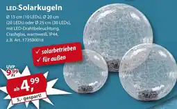 Sonderpreis Baumarkt LED-Solarkugeln Angebot