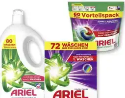 Scheck-in-Center Ariel Waschmittel Pulver Angebot