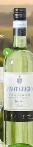 Edeka Wein-Genuss Pinot Grigio Venezia Angebot