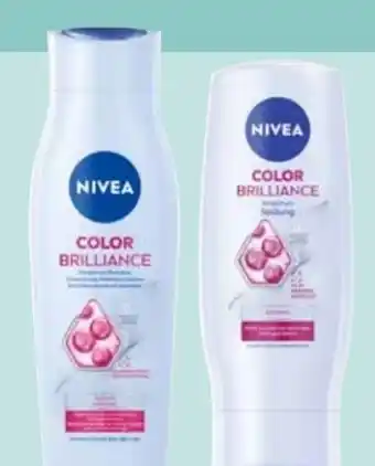 Edeka Nivea Shampoo Angebot