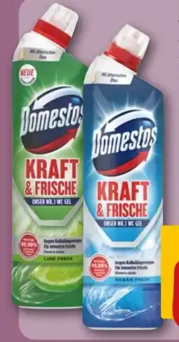 REWE Center Domestos Aktiv-Kraft WC Reiniger Angebot