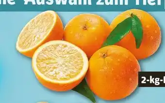 REWE Orangen Angebot