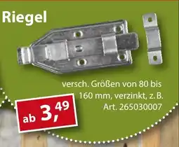 Sonderpreis Baumarkt Riegel Angebot