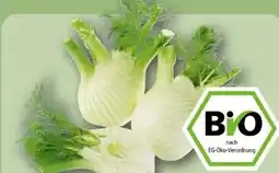 REWE Rewe Bio Bio-Fenchel Angebot